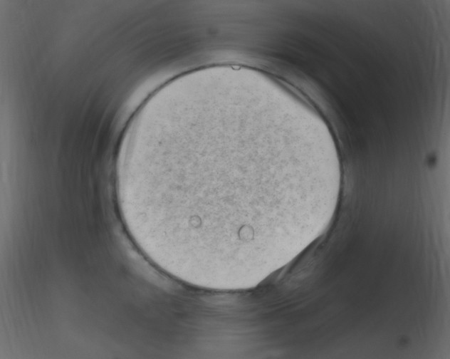 X0000115731048200912241622