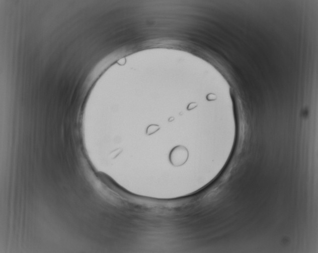 X0000115731050200912241622