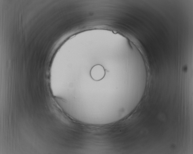 X0000115731051200912241622