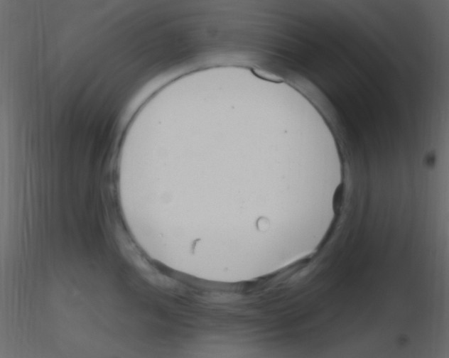 X0000115731052200912241622