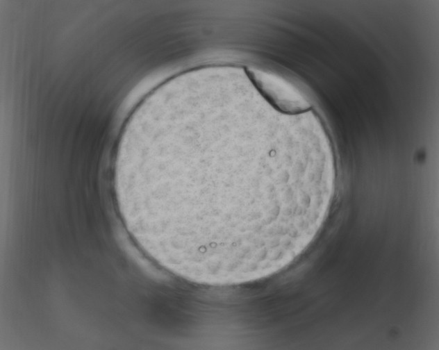 X0000115731053200912241622
