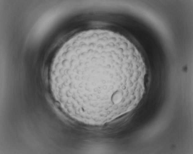 X0000115731054200912241622