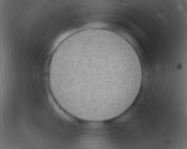 X0000115731055200912241622