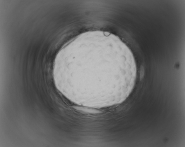 X0000115731059200912241621