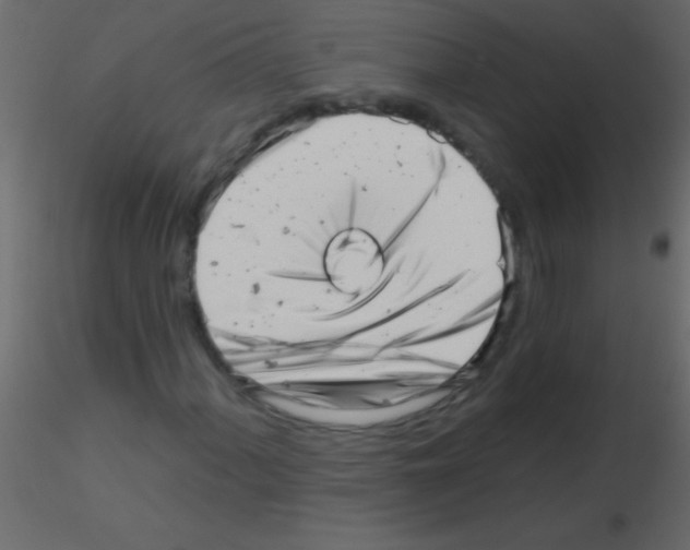X0000115731060200912241621