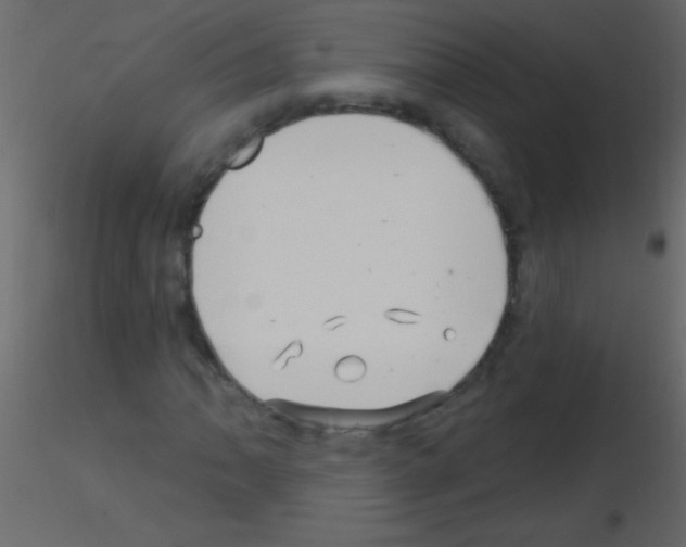 X0000115731062200912241621