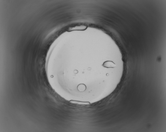 X0000115731064200912241621