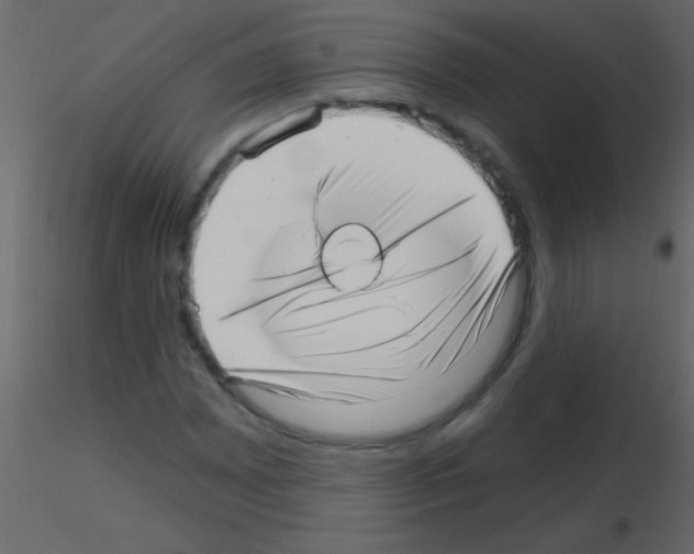 X0000115731065200912241621