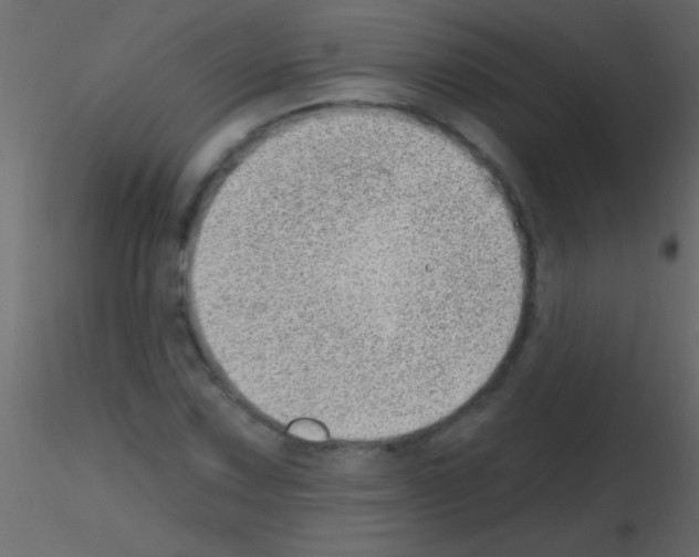 X0000115731067200912241621
