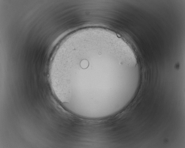 X0000115731068200912241621