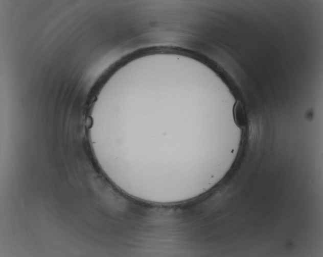 X0000115731069200912241621