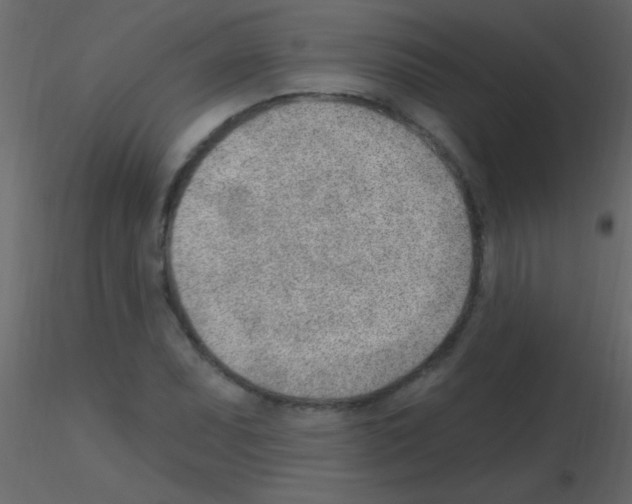 X0000115731071200912241621