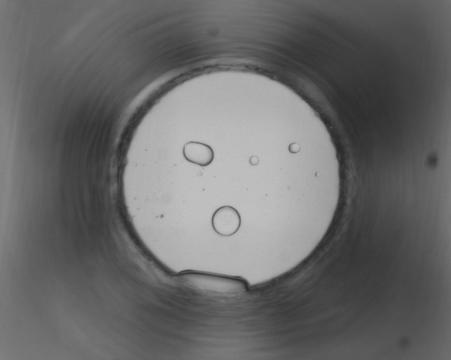 X0000115731076200912241621