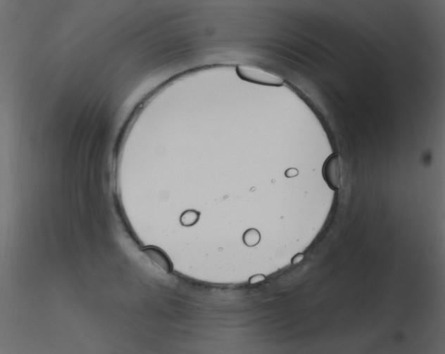 X0000115731080200912241621