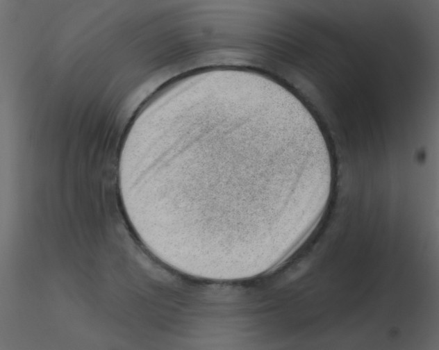 X0000115731081200912241621