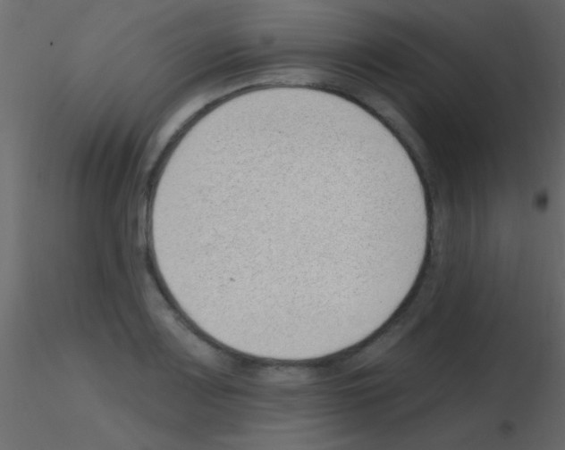 X0000115731083200912241621