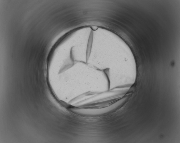 X0000115731084200912241621