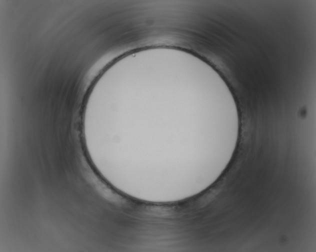 X0000115731086200912241621