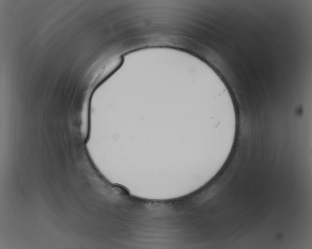 X0000115731089200912241621