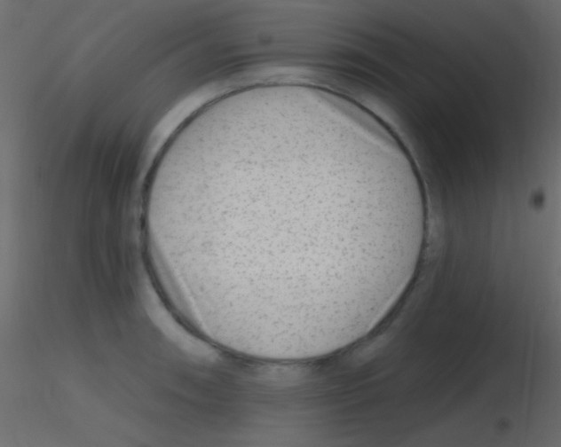 X0000115731090200912241621