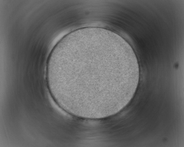X0000115731095200912241621