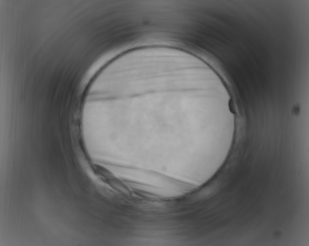 X0000115731101200912241621