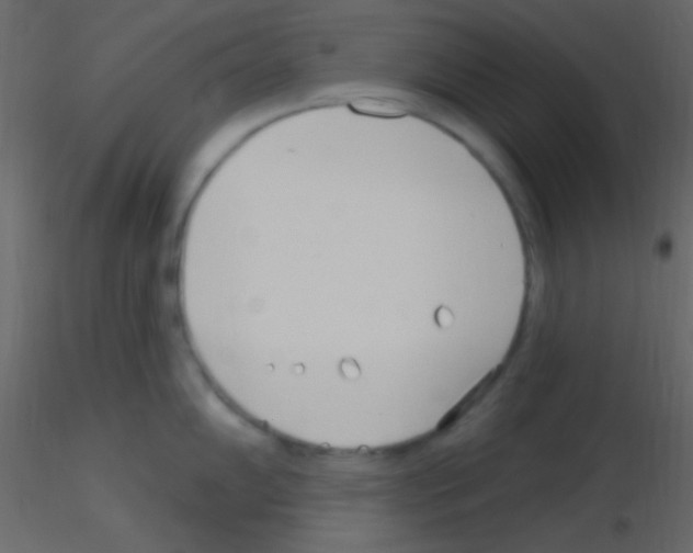 X0000115731102200912241621
