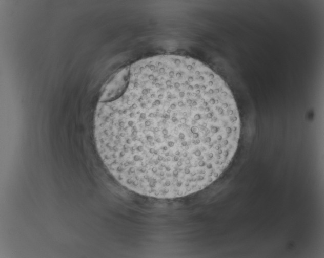 X0000115731105200912241620