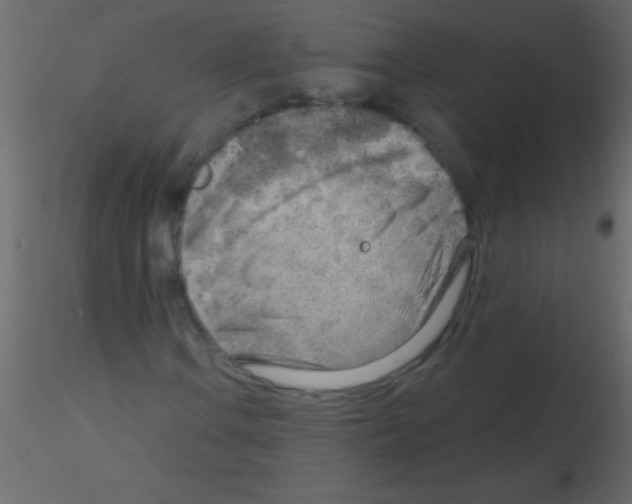 X0000115731106200912241620