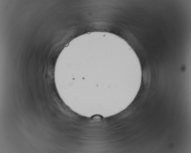 X0000115731107200912241620