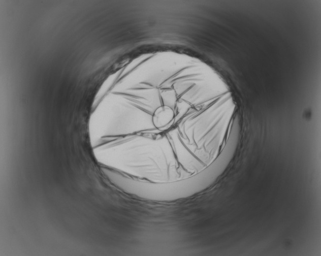 X0000115731110200912241620