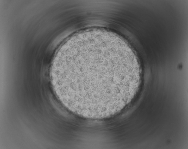 X0000115731113200912241620