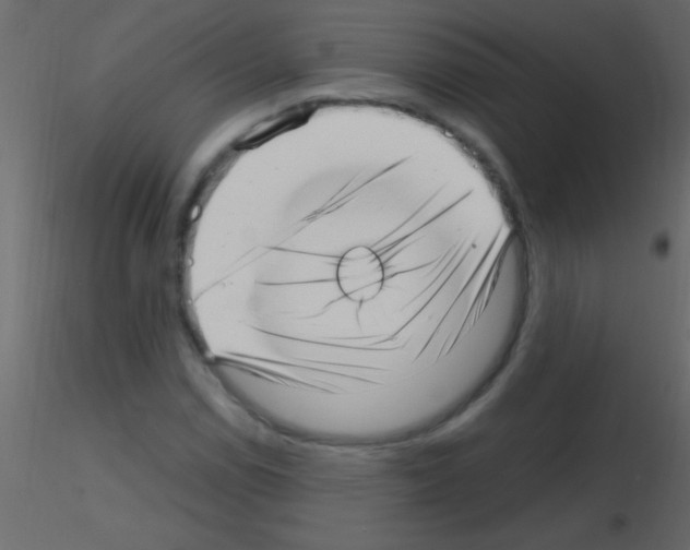 X0000115731114200912241620