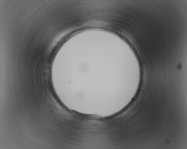 X0000115731115200912241620