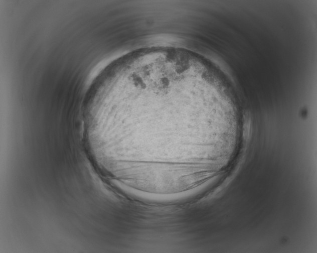 X0000115731117200912241620