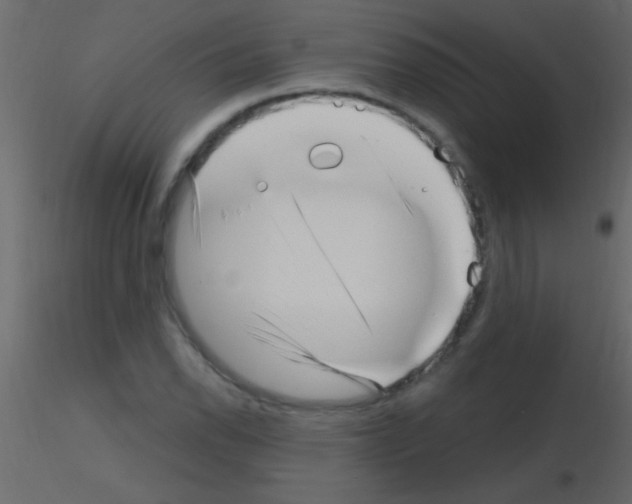 X0000115731118200912241620