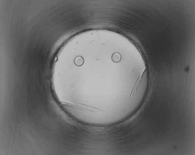 X0000115731122200912241620