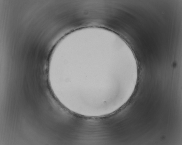 X0000115731126200912241620