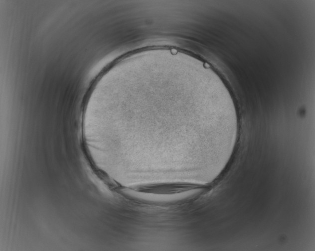 X0000115731127200912241620