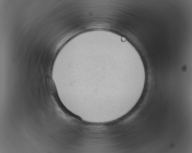 X0000115731129200912241621