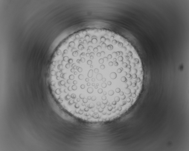 X0000115731130200912241621
