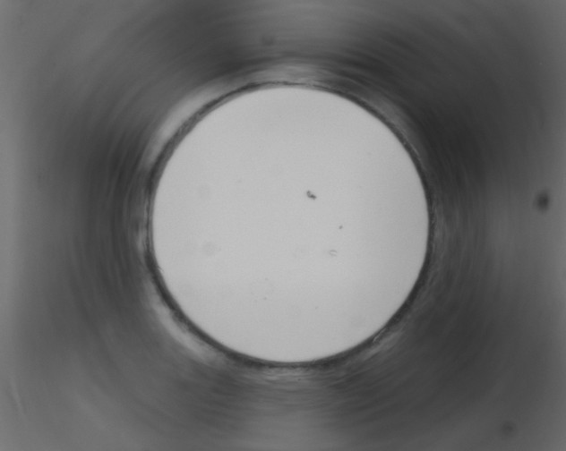 X0000115731131200912241621