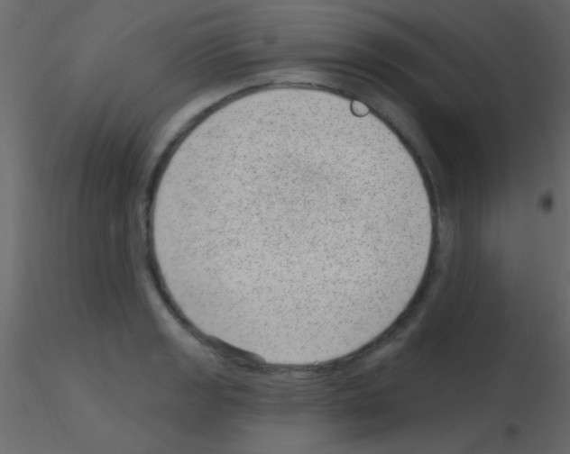 X0000115731133200912241621