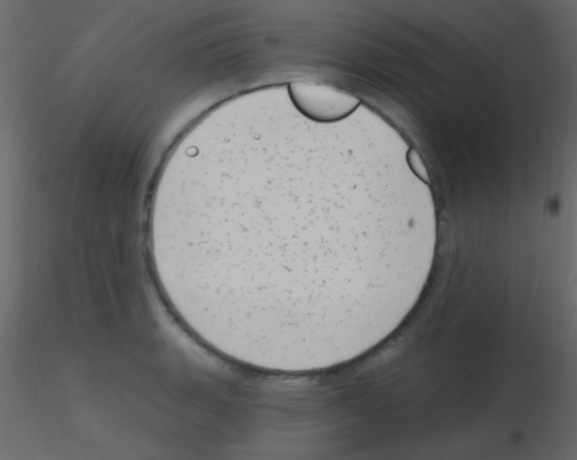 X0000115731135200912241621