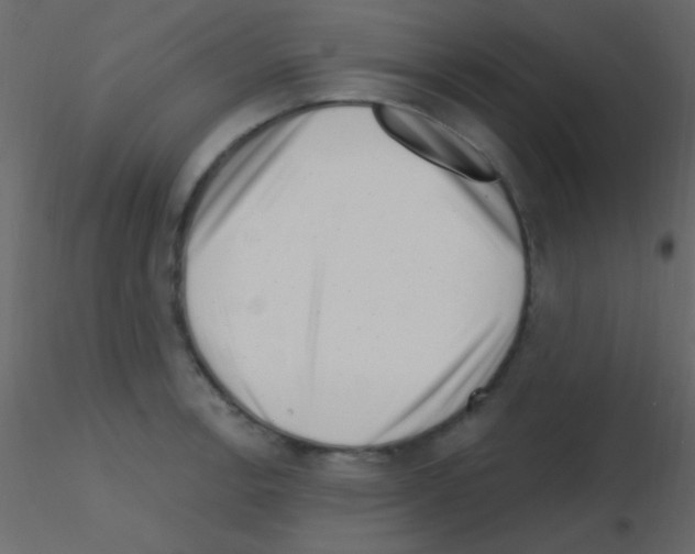 X0000115731138200912241621