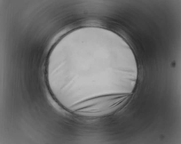 X0000115731139200912241621