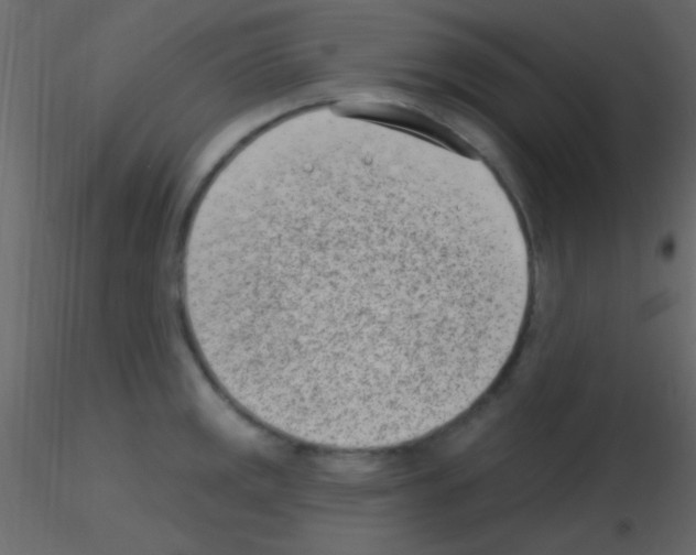 X0000115731141200912241621