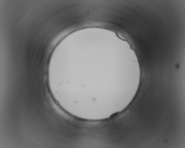 X0000115731143200912241621