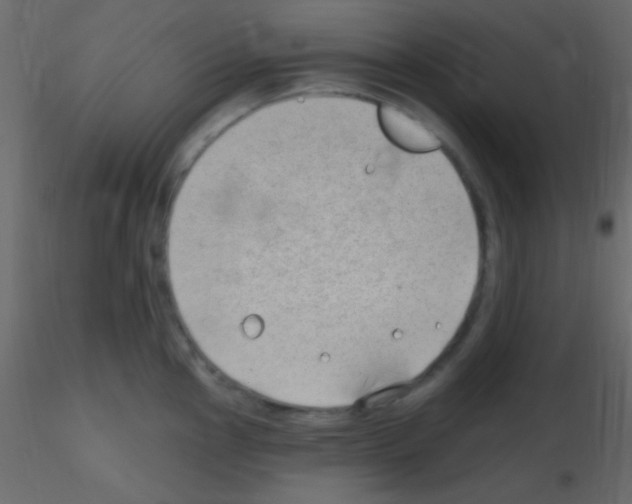 X0000115731145200912241621