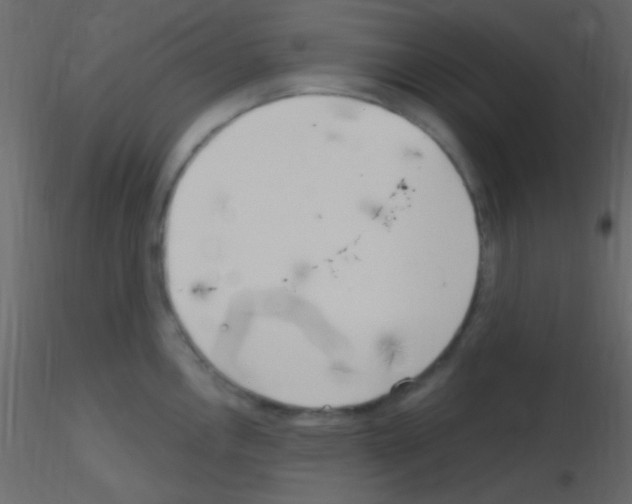 X0000115731146200912241621
